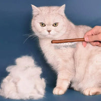Thumbnail for A fluffy cat is groomed with the KittyNook Cat Co. Stainless Steel Cat Comb Pro, shed fur beside it on blue backdrop.