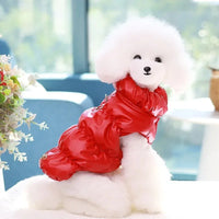 Thumbnail for A white poodle wears the Ultra-Soft Padded Winter Cat Jacket by KittyNook Cat Co., sitting indoors by the window.