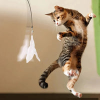Thumbnail for A tabby leaps, batting KittyNook Cat Co.'s Ultimate Cat Teaser Toy with bell and feather wand in pure delight.