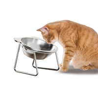 Thumbnail for An orange tabby cat eats from the KittyNook Cat Co. Ergonomic Tilted Stainless Steel Cat Bowl against a white background.