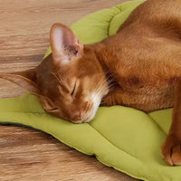 Thumbnail for A brown cat sleeps on a KittyNook Cat Co. Leaf Pattern Cat Sleeping Mat.