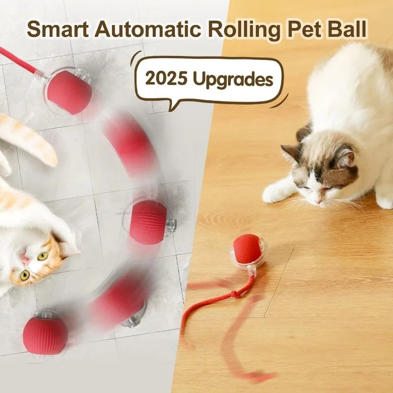 A cat plays for fun and exercise with KittyNook Cat Co.'s Smart Rolling Cat Ball: 4 Hours of Interactive Play (2025 Upgrade).