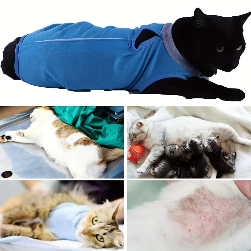 Cats in KittyNook Cat Co. Cat Neutering Recovery Suits—resting, nursing kittens, and a close-up of healing.