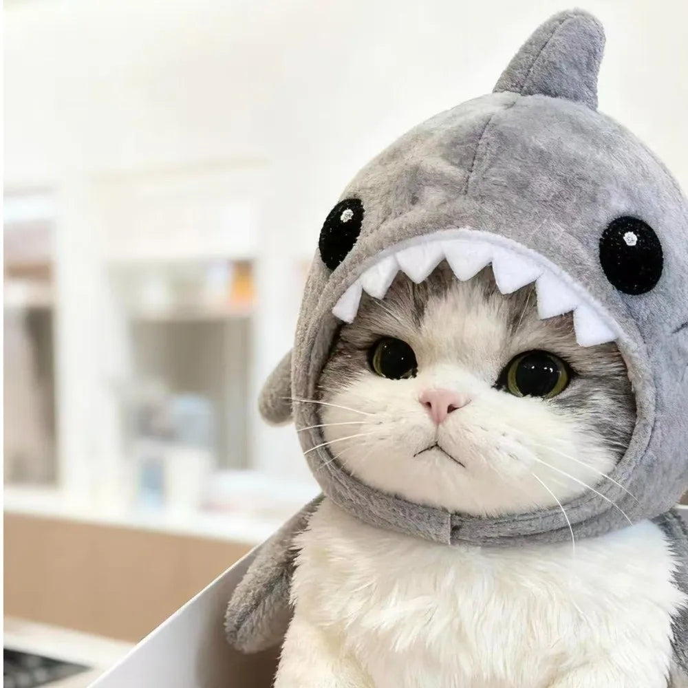 Cute Cartoon Shark Cat Hat - KittyNook Cat Co.