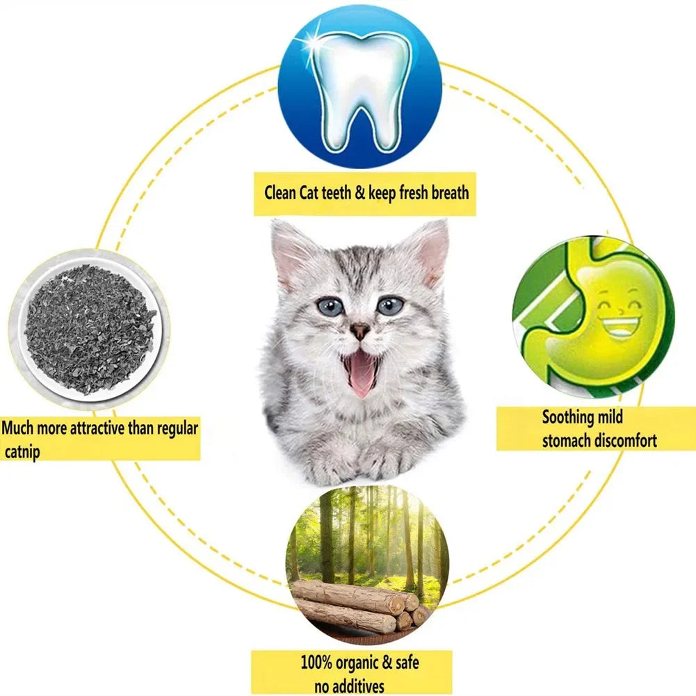 KittyNook Cat Co. infographic: happy kitten, digestion icon, organic catnip, natural dental care with all-natural catnip sticks.