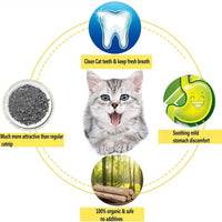 Thumbnail for KittyNook Cat Co. infographic: happy kitten, digestion icon, organic catnip, natural dental care with all-natural catnip sticks.