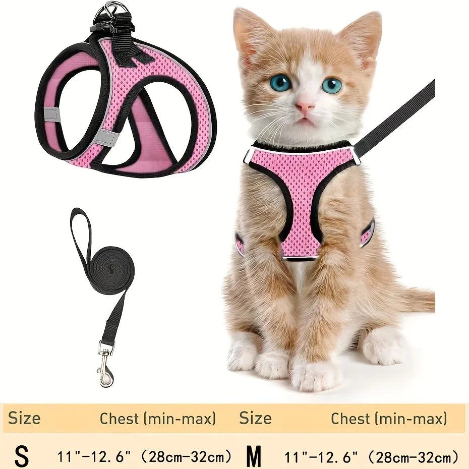 Keep your orange kitten safe with the KittyNook Cat Co. Ultimate Escape-Proof Harness & Lead Set, in small & medium sizes.
