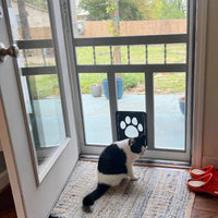 Thumbnail for A black and white cat sits by a KittyNook Cat Co. Magnetic Lockable Pet Screen Door, looking outside.