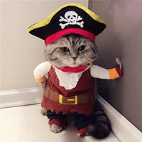 Thumbnail for A gray cat wears the KittyNook Cat Co. Funny Pirate Cat Halloween Costume with hat, red scarf, and brown outfit.