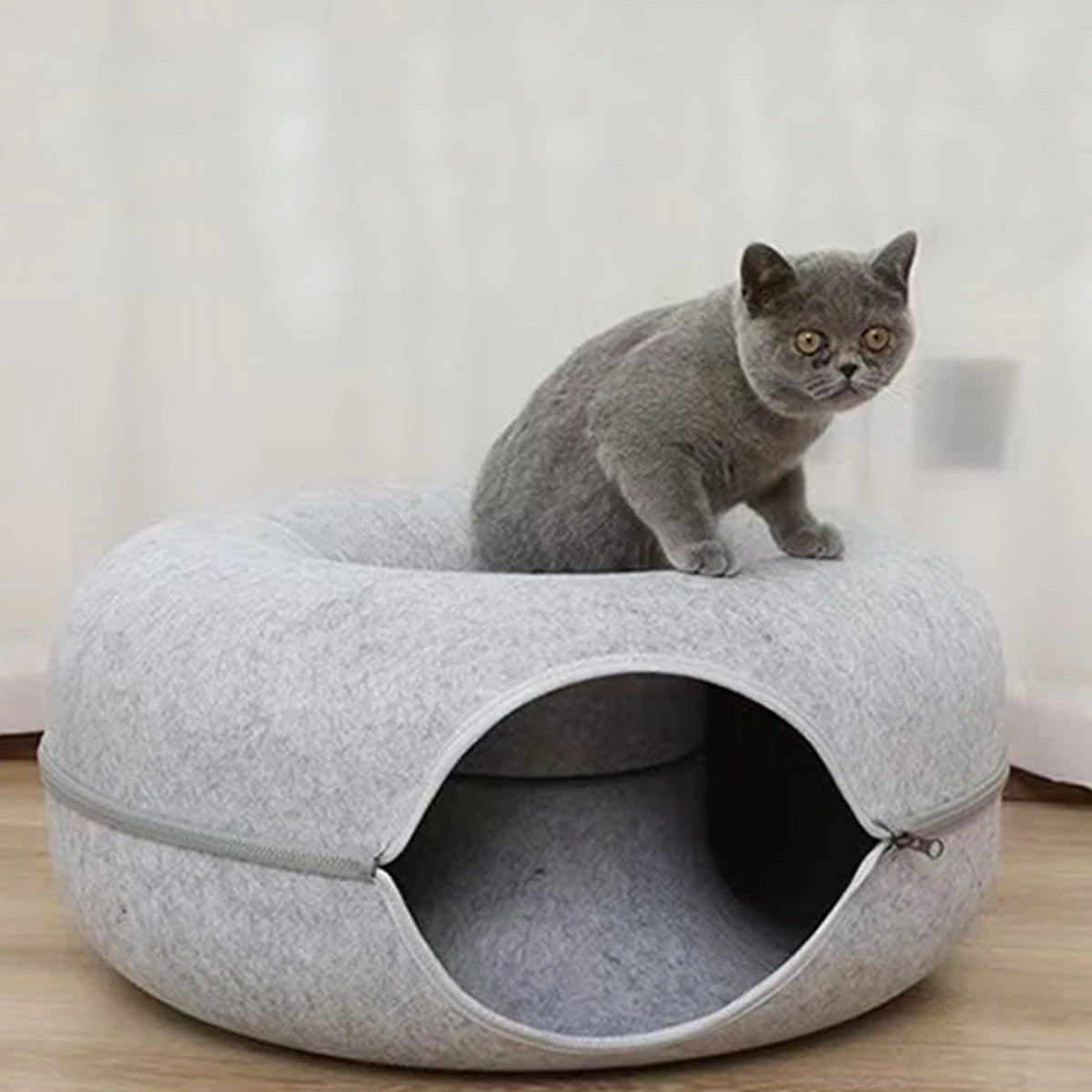 A gray cat lounges on the KittyNook Cat Co. Orbital Lounge & Play Tunnel Bed, indoors on a wooden floor.