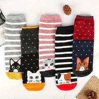 Thumbnail for Five pairs of Cute Meow & Snuggle Women’s Socks by KittyNook Cat Co. with cat faces and stripes, shown with pinecones.
