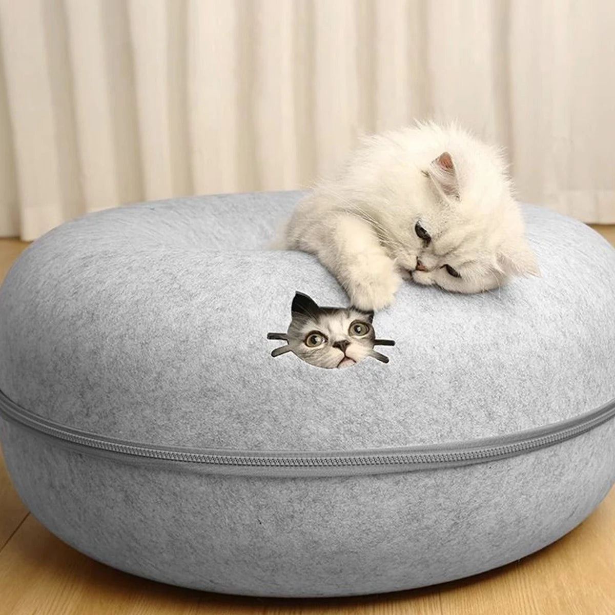 A white cat lounges on the KittyNook Orbital Lounge & Play Tunnel Bed as another peeks out of this modern cat furniture.