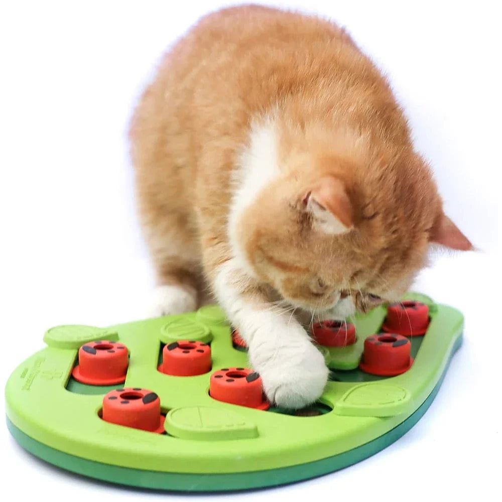 Orange and white cat plays with KittyNook Cat Co. Interactive Cat Treat Puzzle with red ladybug-shaped pieces.