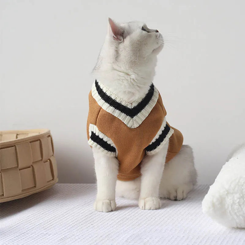 A white cat in a KittyNook Cat Co. Cozy Fluff Cat Sweater sits by a basket, looking up against a plain background.