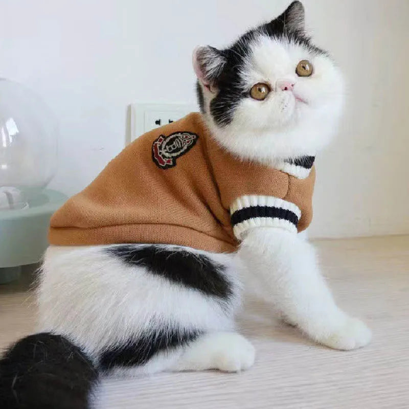 Black and white cat in KittyNook Cat Co.’s Cozy Fluff Cat Sweater sits on a light-colored floor.
