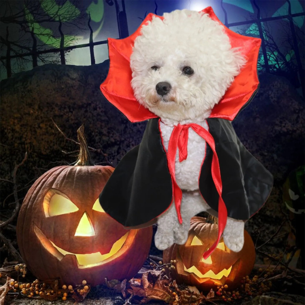 A dog wears a KittyNook Cat Co. Cute Halloween Cat Costume, sitting among jack-o’-lanterns with a spooky backdrop.