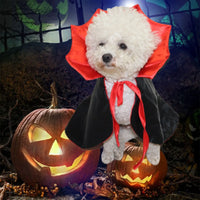 Thumbnail for A dog wears a KittyNook Cat Co. Cute Halloween Cat Costume, sitting among jack-o’-lanterns with a spooky backdrop.