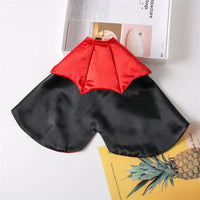 Thumbnail for KittyNook Cat Co. Cute Halloween Cat Costumes: red & black satin vampire cape shown by books and a pineapple image.