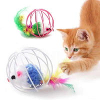 Thumbnail for An orange kitten plays with KittyNook Cat Co.'s Interactive Sand-Chase Mouse Cat Toy; another is in the background.