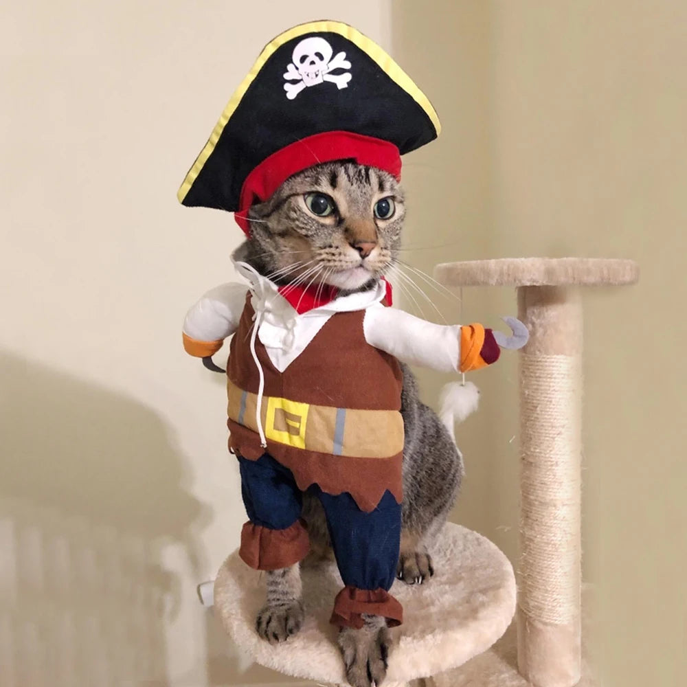 A tabby cat wears the Halloween Funny Pirate Cat Costume by KittyNook Cat Co., standing on a cat tree.