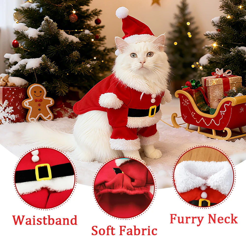 A white cat in a festive KittyNook Cat Co. costume poses by presents in Christmas Outfits for Stylish Cats.
