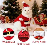 Thumbnail for A white cat in a festive KittyNook Cat Co. costume poses by presents in Christmas Outfits for Stylish Cats.