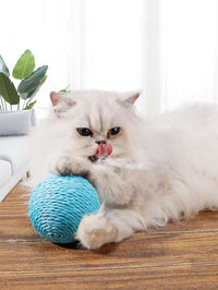 Thumbnail for Fluffy white cat licking its nose while playing with the KittyNook Cat Co. Premium Sisal Kitten Scratching Ball.