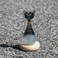 Thumbnail for Furcast Weather Bottle - KittyNook Cat Company