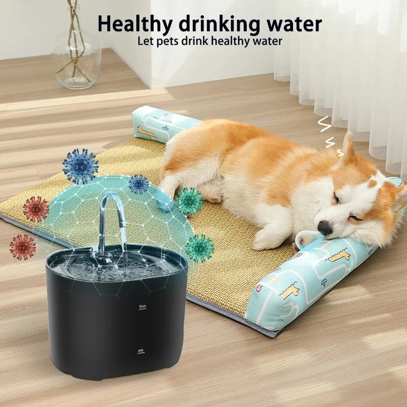 A corgi naps by a KittyNook Cat Co. Cat Water Fountain Automatic Filter, promoting hydration and clean water.