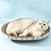 Thumbnail for A white and gray cat lounges on a KittyNook Cat Co. Cat Scratcher Cardboard with cat face designs, on a blue background.