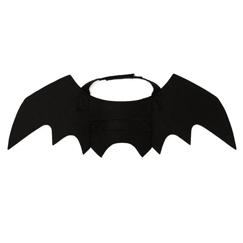 Halloween Bat Wing Cat Costume