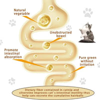 Thumbnail for Diagram showing how the All Natural Catnip Lick Bar by KittyNook Cat Co. aids absorption and easier bowel movement in cats.