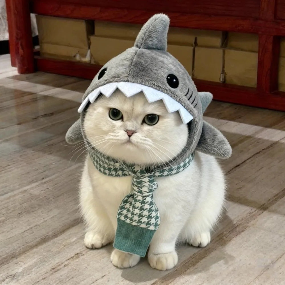 Cute Cartoon Shark Cat Hat - KittyNook Cat Co.