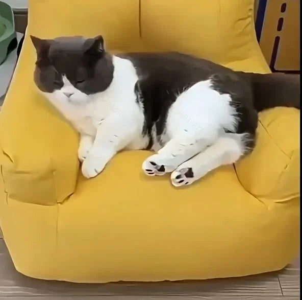 The Cat Cartoon Sofa Bed by KittyNook Cat Co. adds unique décor and versatile function with its cute gray and white design.