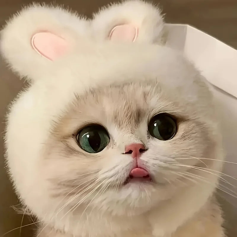 A fluffy cat in the KittyNook Cat Co. Rabbit Ear Cat Bonnet gazes up with wide green eyes and sticks its tongue out.