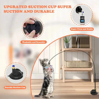 Thumbnail for Gray tabby kitten plays with KittyNook Cat Co. Ultimate Cat Teaser Toy; insets show suction cup and shelf use.