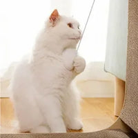 Thumbnail for White cat on floor by curtain, playing with a blind cord near the KittyNook Cat Co. L-Shape Cardboard Scratching Post.