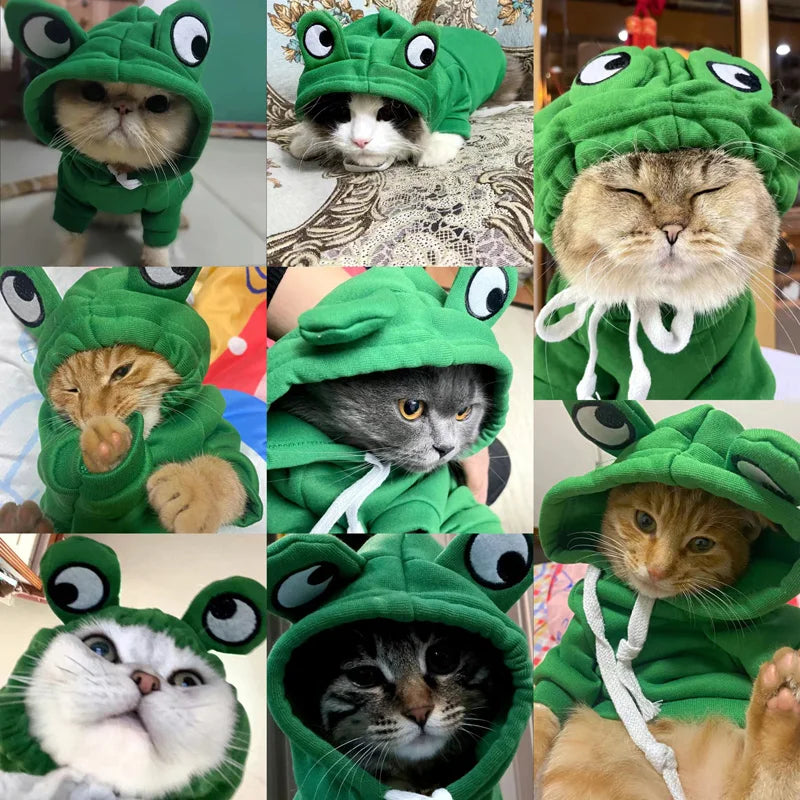 Nine cats in green frog hoodies on this Cute Pets Sweatshirt by KittyNook Cat Co.—a fun pick for any pet lover!.