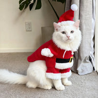 Thumbnail for A cat wears KittyNook Cat Co.’s Christmas Outfits for Stylish Cats while sitting indoors on a carpeted floor.