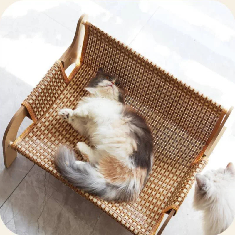 A fluffy cat lounges on the KittyNook Cat Co. Cat Summer Sofa Bed as another cat watches from the corner.