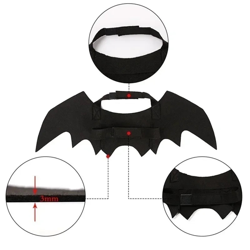 Halloween Bat Wing Cat Costume