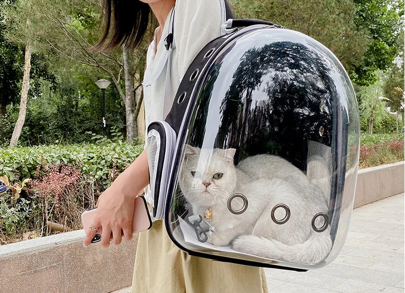 Space Cat Backpack