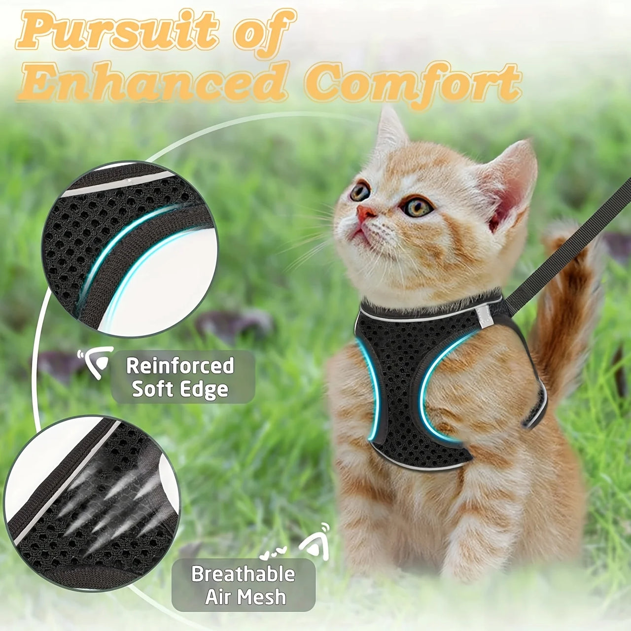 An orange kitten wears KittyNook Cat Co.'s Ultimate Escape-Proof Harness & Lead Set; pet safety features shown in circles.