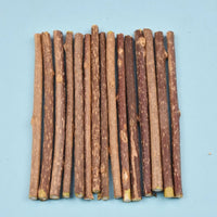Thumbnail for Fifteen KittyNook Cat Co. Natural Silvervine Chew Toys are lined up on blue, perfect for cat enrichment.
