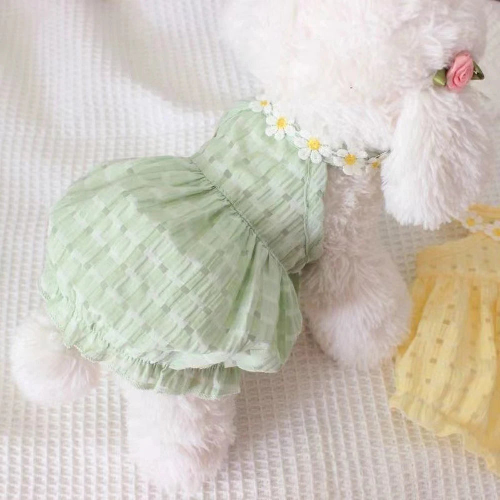 Cat wearing KittyNook Cat Co. Adorable Cat Summer Dress Cute, sitting on a textured white surface with a daisy necklace.