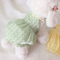 Thumbnail for Cat wearing KittyNook Cat Co. Adorable Cat Summer Dress Cute, sitting on a textured white surface with a daisy necklace.