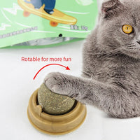 Thumbnail for A gray cat touches a KittyNook Cat Co. Stick-On Natural Catnip Ball for Cats with a package in the background.