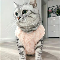 Thumbnail for A gray tabby cat in the KittyNook Cat Co. Ultra-Soft Thermal Fleece Cat Sweatshirt sits on a light wooden floor.