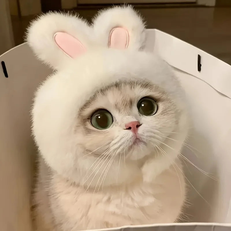 A cute cat in the KittyNook Cat Co. Rabbit Ear Cat Bonnet with pink ears sits in a white bag, looking adorable.