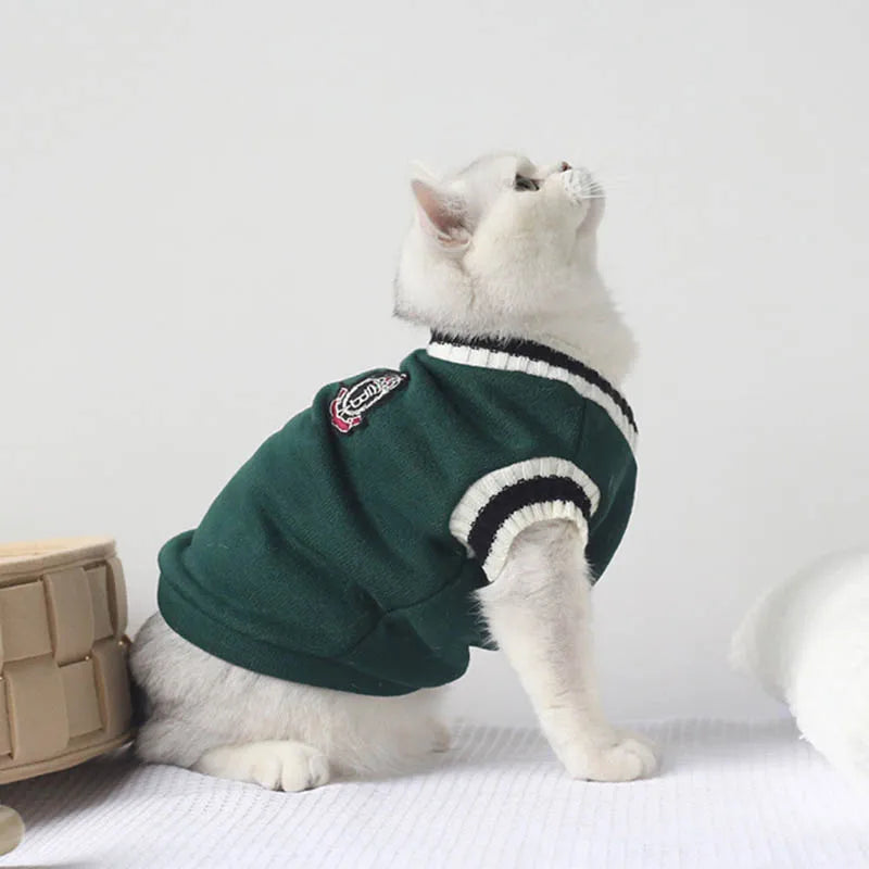 White cat in a Cozy Fluff Cat Sweater by KittyNook Cat Co. sits upright on white, gazing up at a plain background.